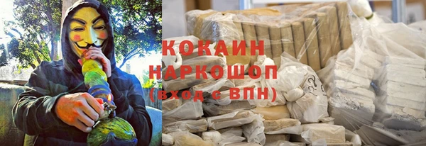 ПСИЛОЦИБИНОВЫЕ ГРИБЫ Алексин