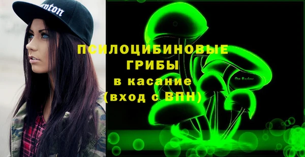 ПСИЛОЦИБИНОВЫЕ ГРИБЫ Алексин